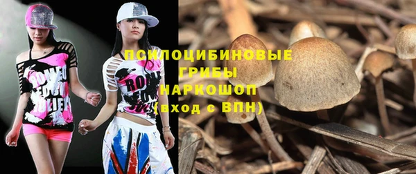jwh Ладушкин